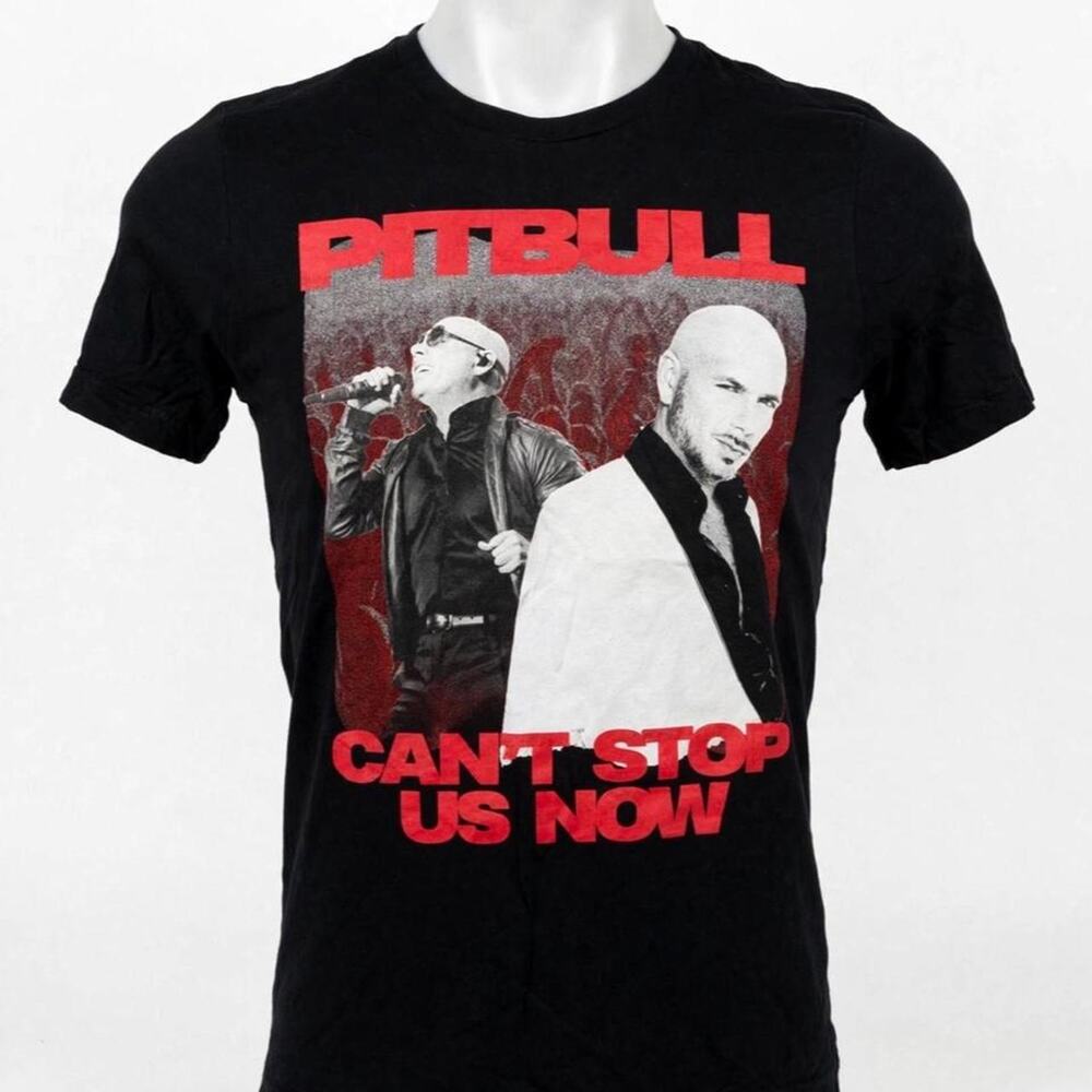 Pitbull Can't Stop Us Now Summer Tour 2022 T-Shirt Mens L Black Concert Timeless
